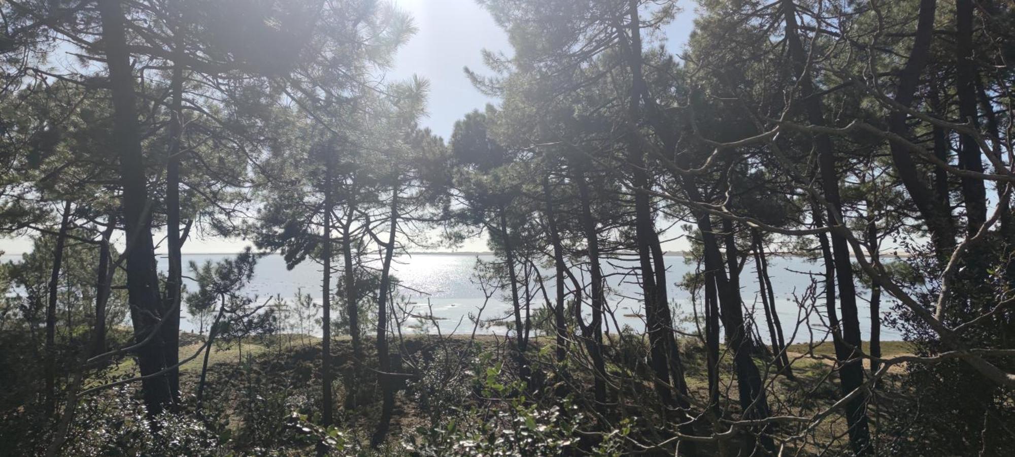 Mobil-Home - Camping Siblu Bonne Anse Plage Les Mathes Eksteriør billede